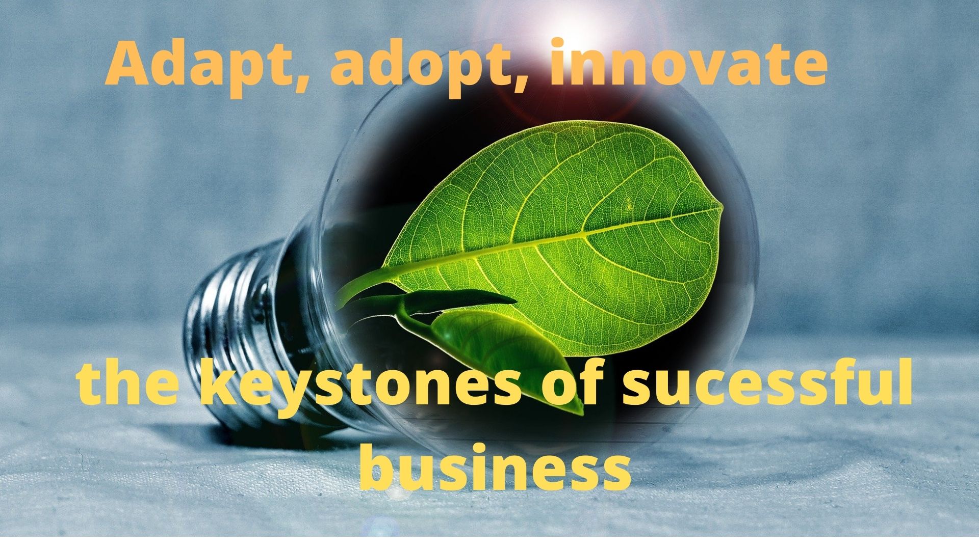 Adopt, adapt and innovate - the keystones of successful business